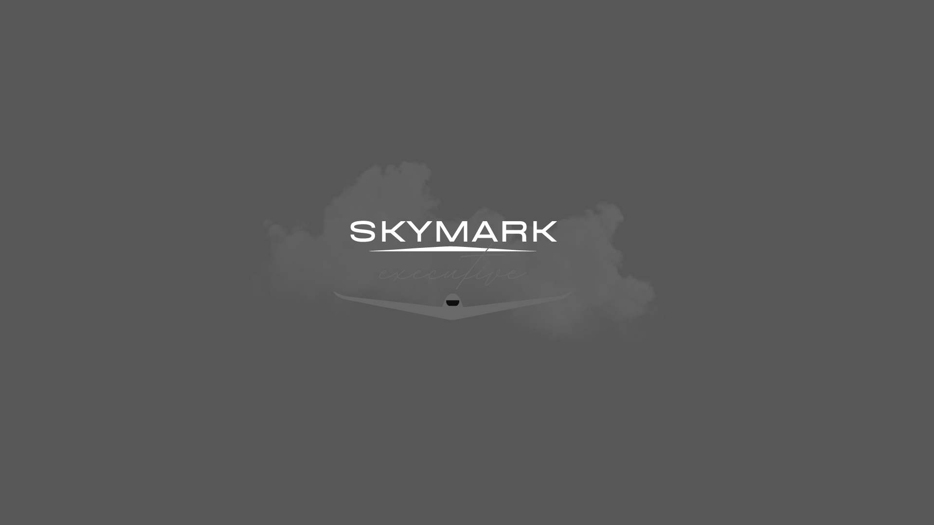 skymark-executive-connect-with-us-day-or-night-through-our-24-7